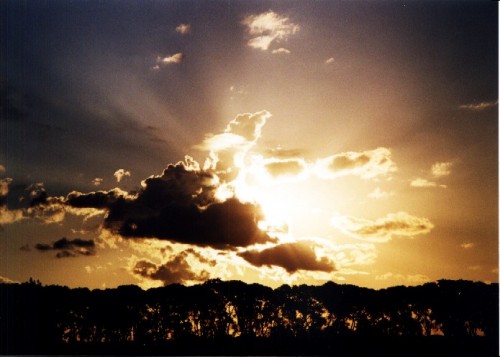 He knows what is best