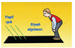 cisimler nasil renkli gorunur genel bilgiler