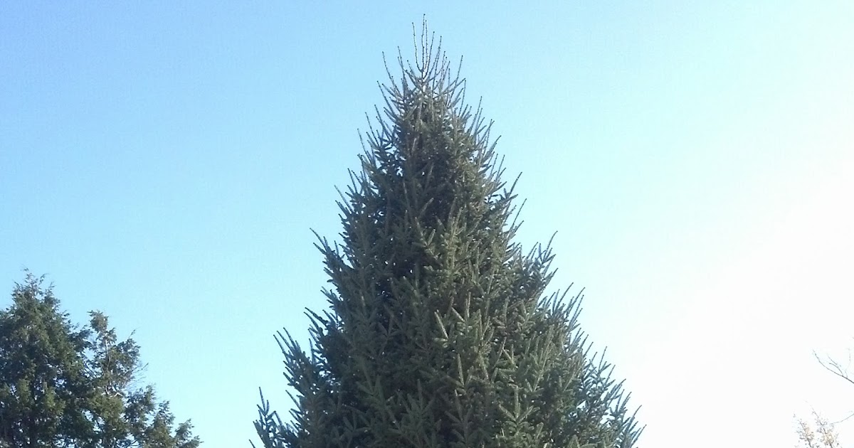 Salmon Falls Nursery & Landscaping Berwick Maine (ME) SALMON FALLS