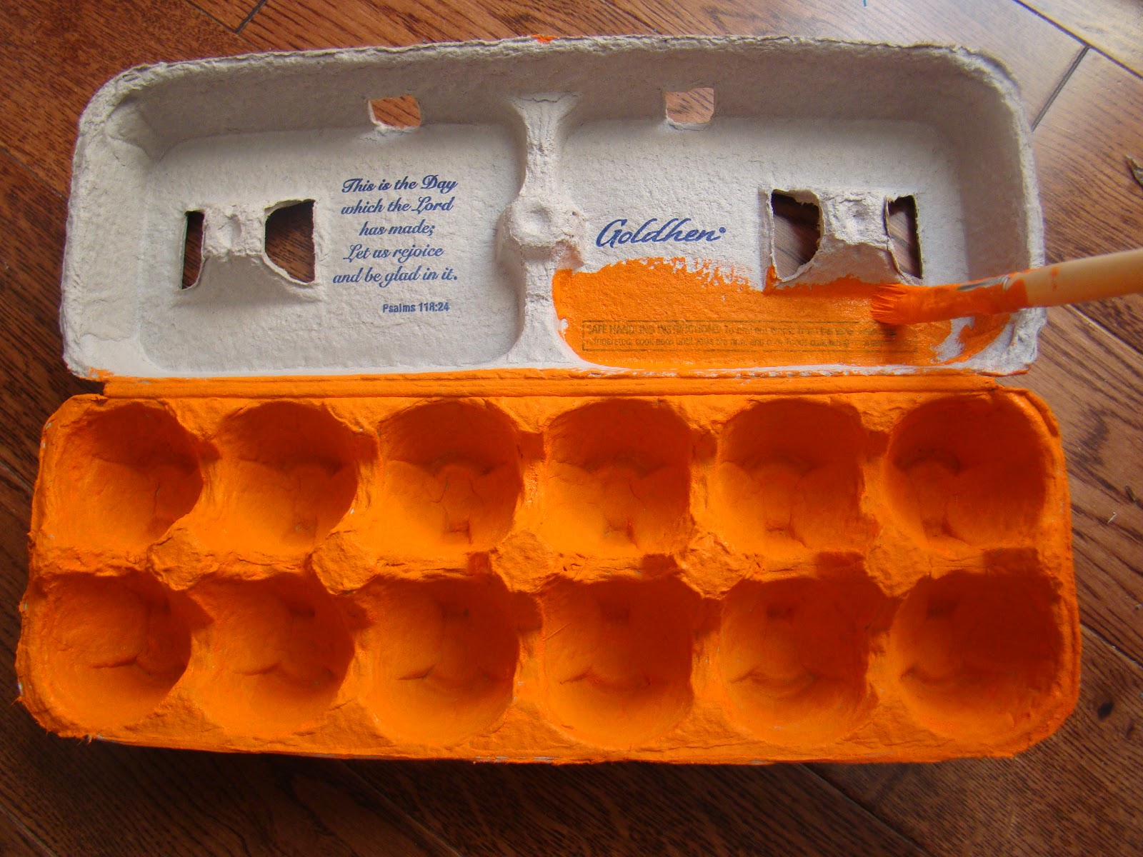***WorkingDesigns*** Egg Carton Organizer