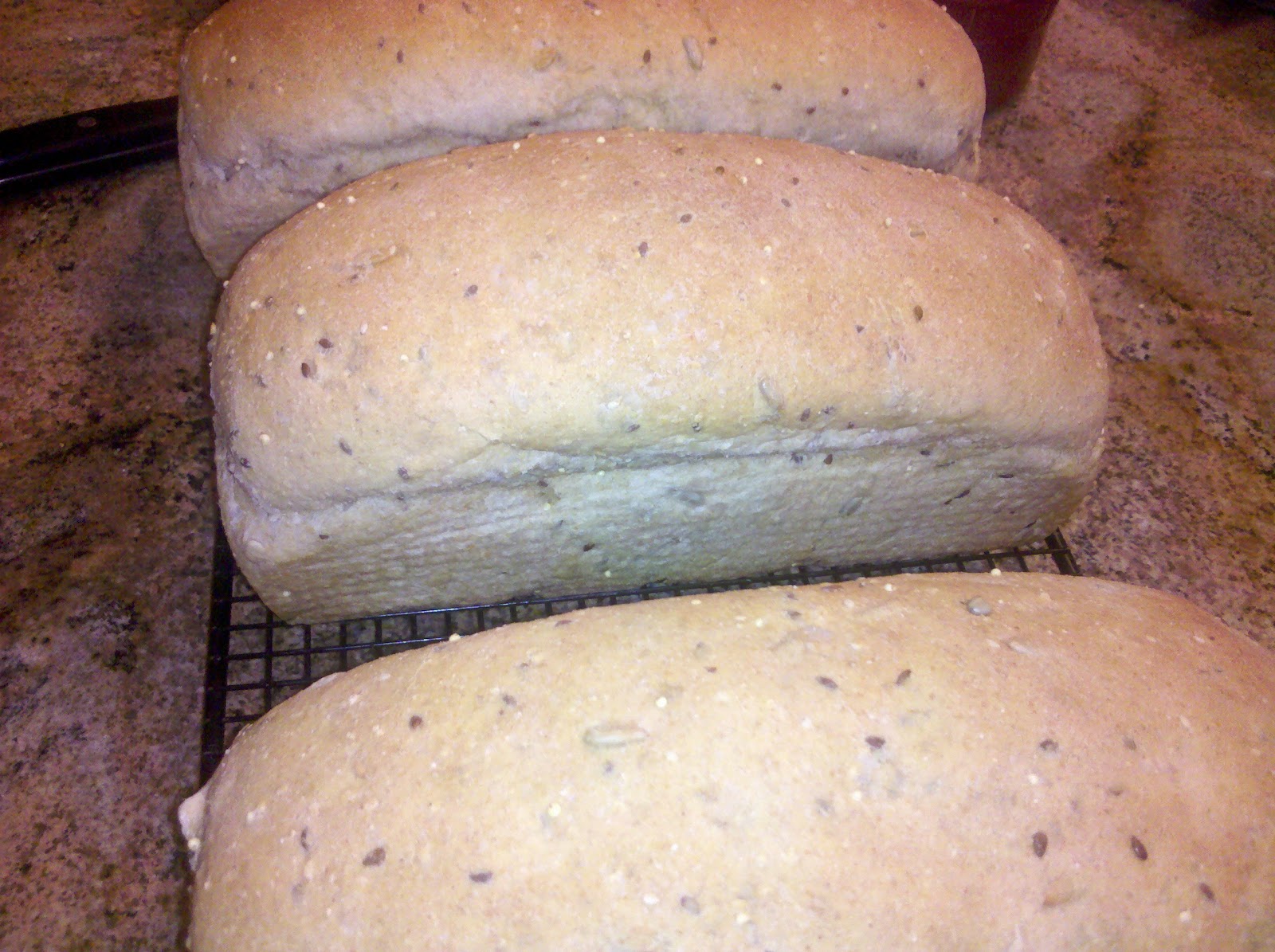 Foodie Gone Healthy 12 Grain Bread