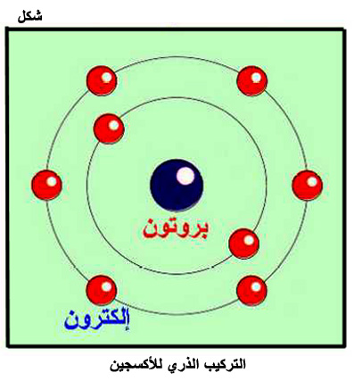 تشير الصورة إلى نمخوذج الذرة