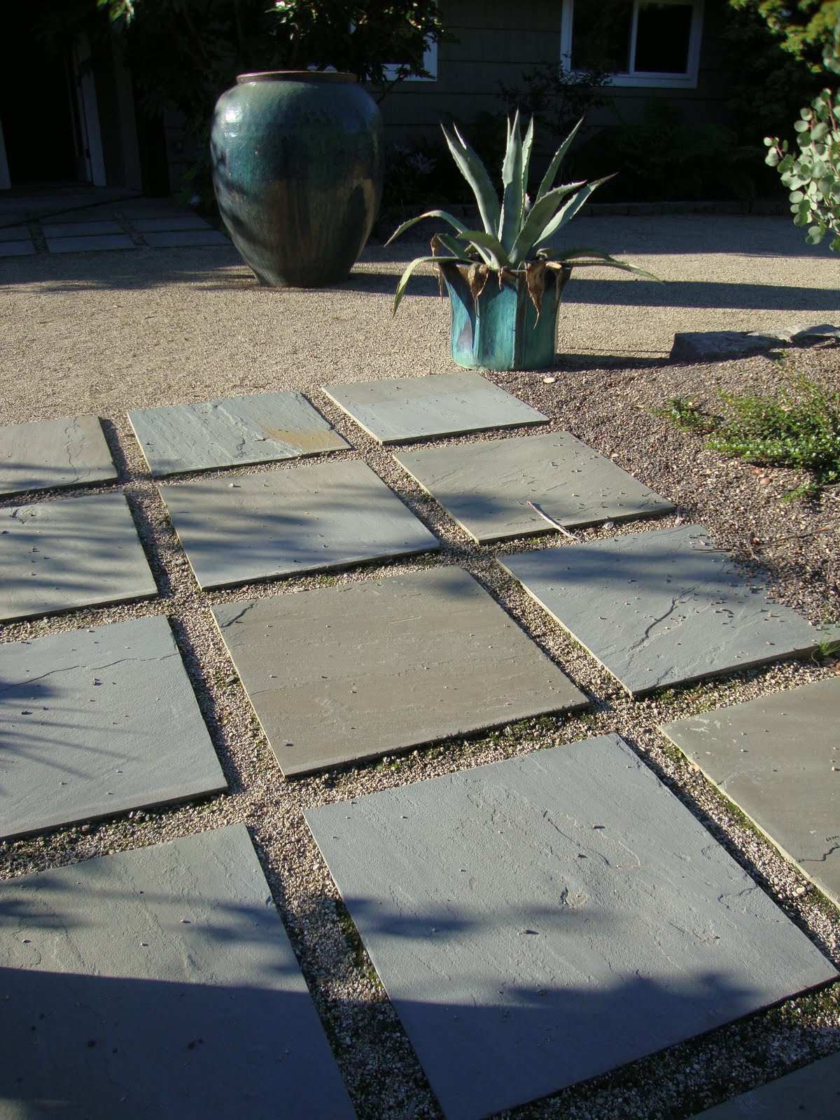 Variegated Pittosporum Stock Photos Variegated Pittosporum Stock