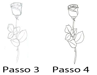 Imparare A Disegnare Una Rosa