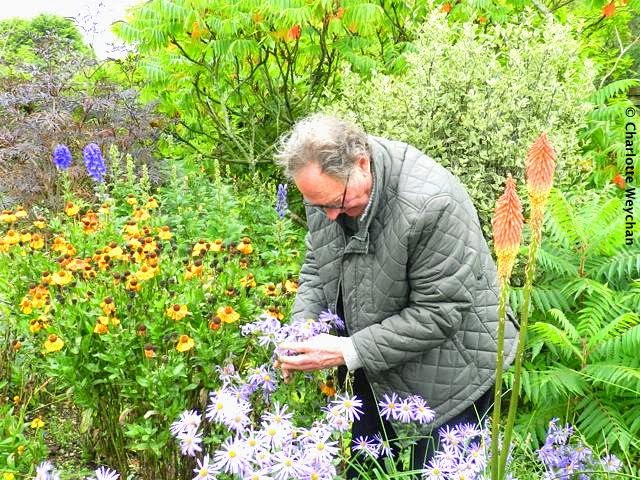 Happy 80th birthday to John Brookes - influential garden and landscape