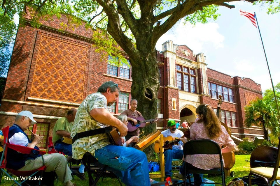Dogwood Bloom Watch Dogwoods, Trains & Plays....