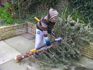 finnish tree lopper tool cutting tree branches