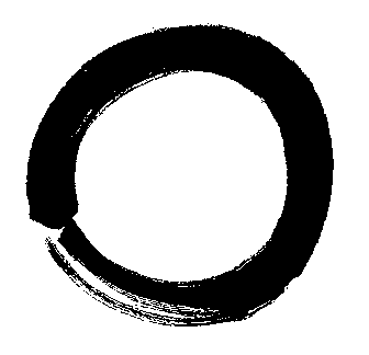 Image result for zen ring