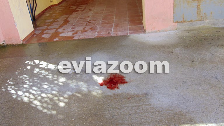 Ανείπωτη Τραγωδία στην Χαλκίδα: Μάνα και γιος βούτηξαν στο κενό από τον 5ο όροφο της πολυκατοικίας - Αυτόπτης μάρτυρας μιλάει στο eviazoom.gr! (ΦΩΤΟ & ΒΙΝΤΕΟ) Ανείπωτη Τραγωδία στην Χαλκίδα: Μάνα και γιος βούτηξαν στο κενό από τον 5ο όροφο της πολυκατοικίας - Αυτόπτης μάρτυρας μιλάει στο eviazoom.gr! (ΦΩΤΟ & ΒΙΝΤΕΟ)