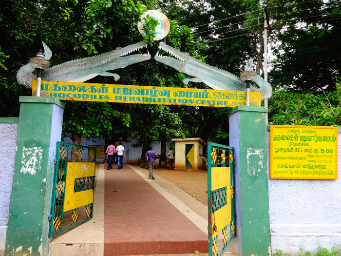 Tamilnadu Tourism: Crocodile Rehabilitation and Research Center, Dharmapuri