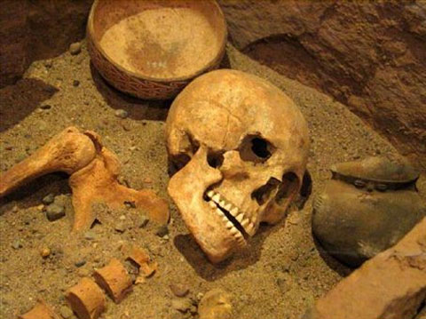 [Image: daotrommosohatg0503137cb72jpg13624461230.jpg]