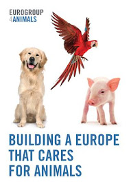 EUROGROUP FOR ANIMALS