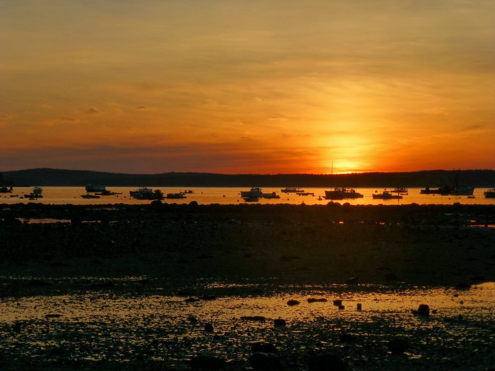 Off on Adventure Kayaking Bartlett Narrows & Seal Cove Acadia