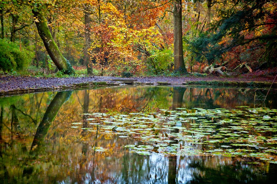 Photo journal of sorts Wychwood Wild Garden