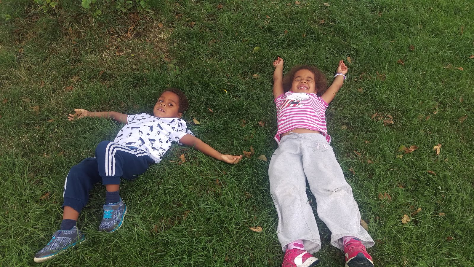 Glassveranda Loppemarkedet Over Alle Loppemarkeder Marche A La