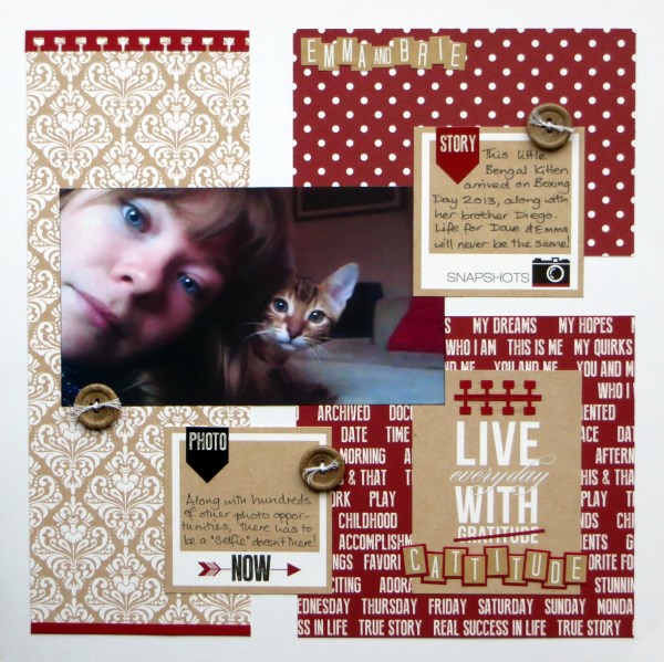 Jimjams - Cattitude - for S J Crafts
