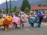 ksatria barongsai lion dragon dance troupe surabaya - Ruteng - Nusa Tenggara Timur