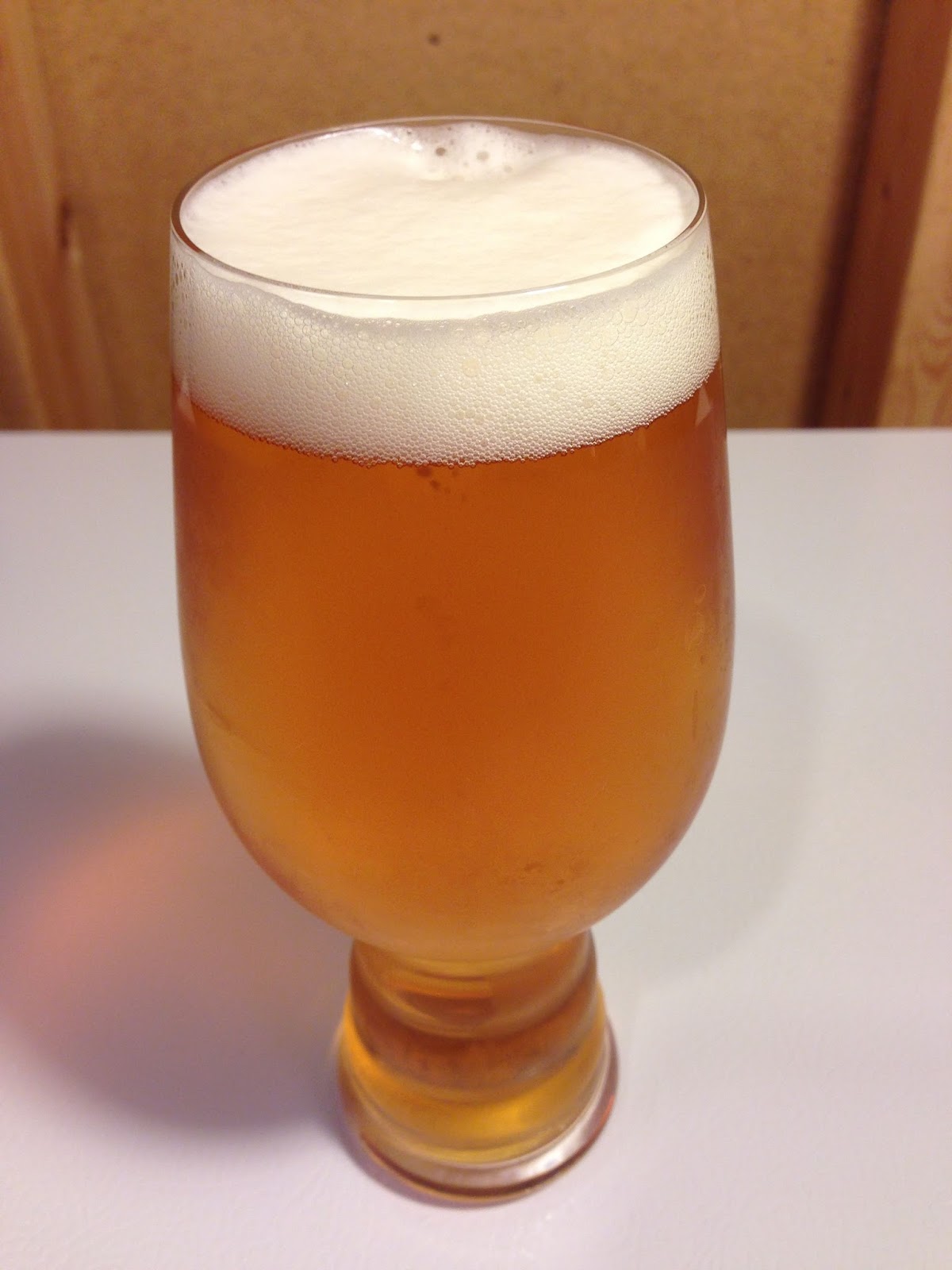Brewing More Beer’s Citra Pale Ale Homebrew Finds