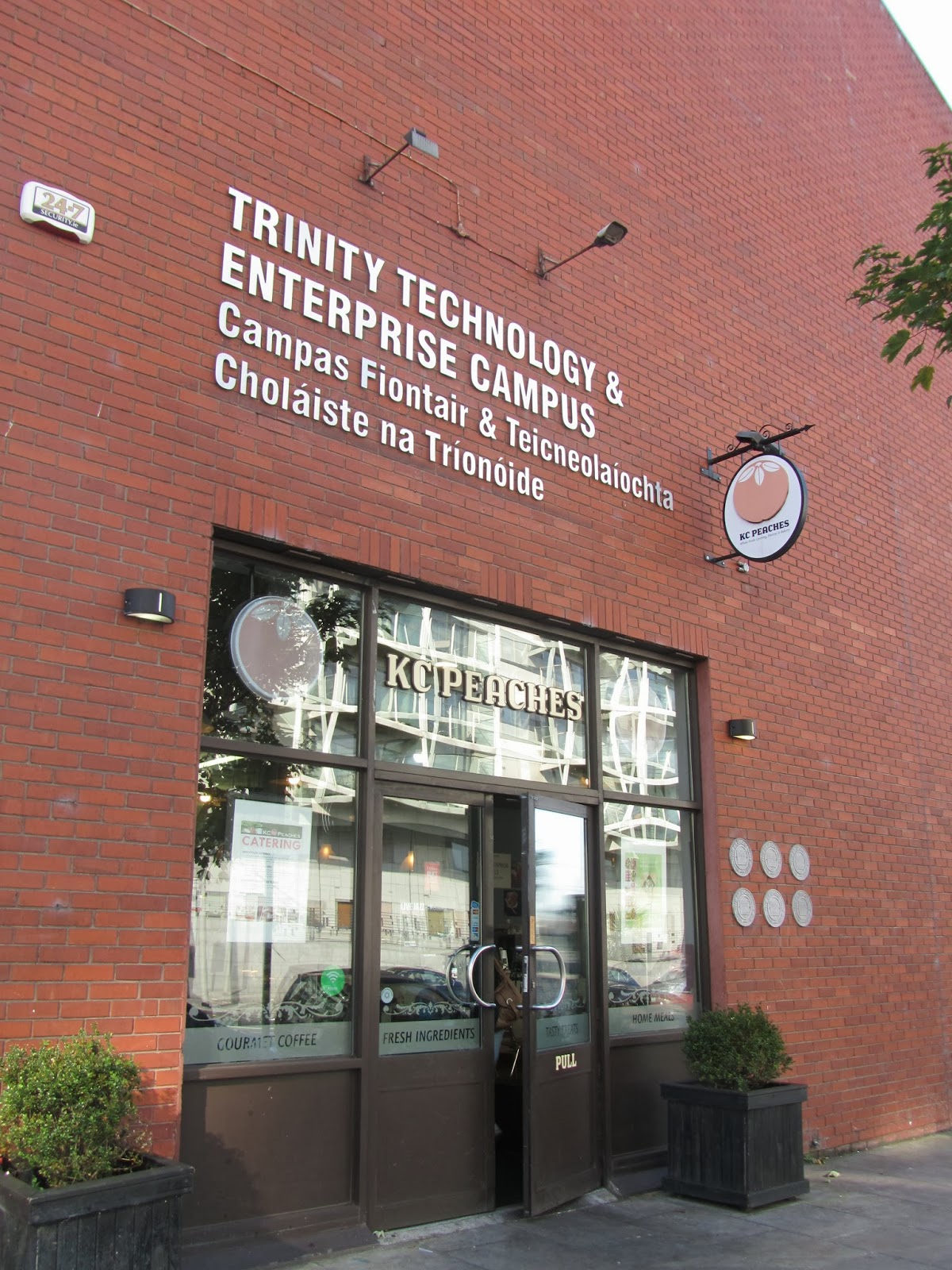 EXPAT WITH KIDS IN DUBLIN KC Peaches Our favourite cafe on Pearse