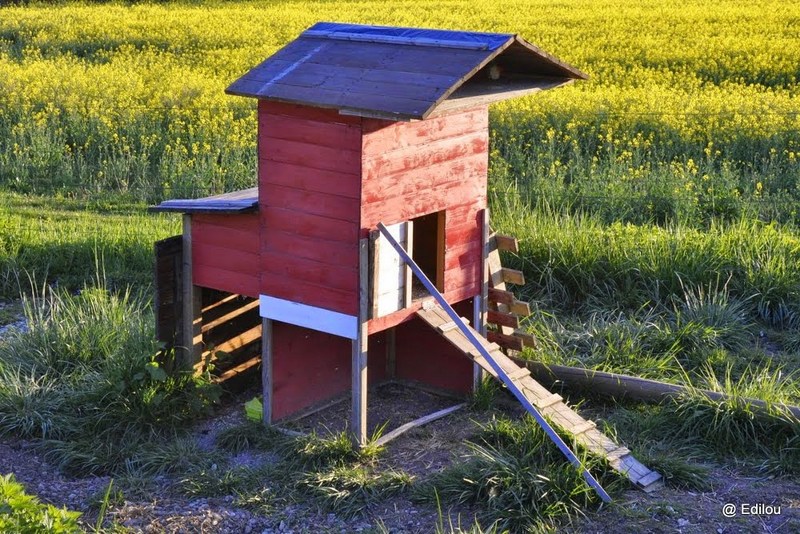 LES OBJETS ET CREATIONS SEMES DANS LE PAYSAGE : POULAILLER DE VINCELLES