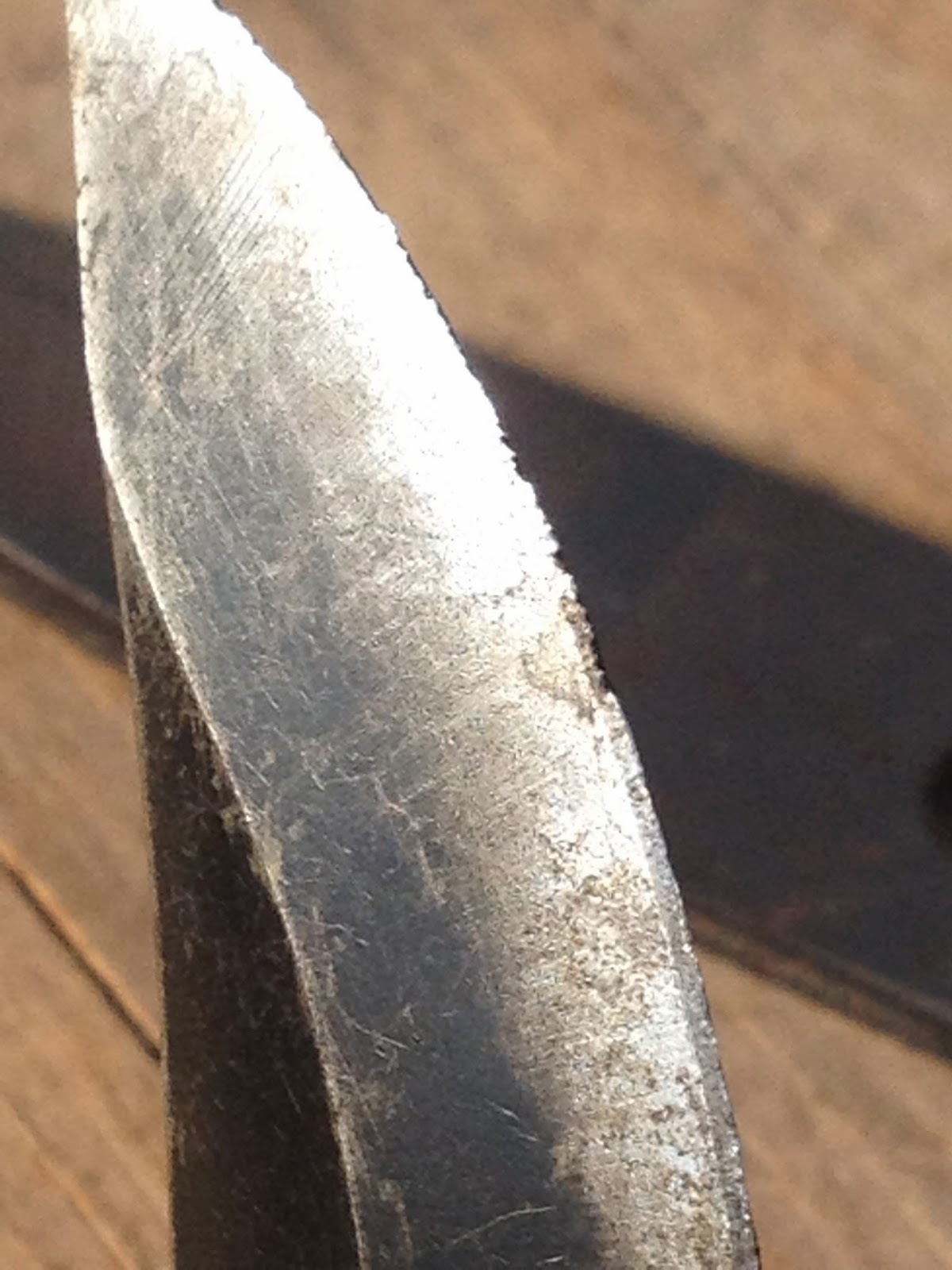 dull blade hand pruners nicks