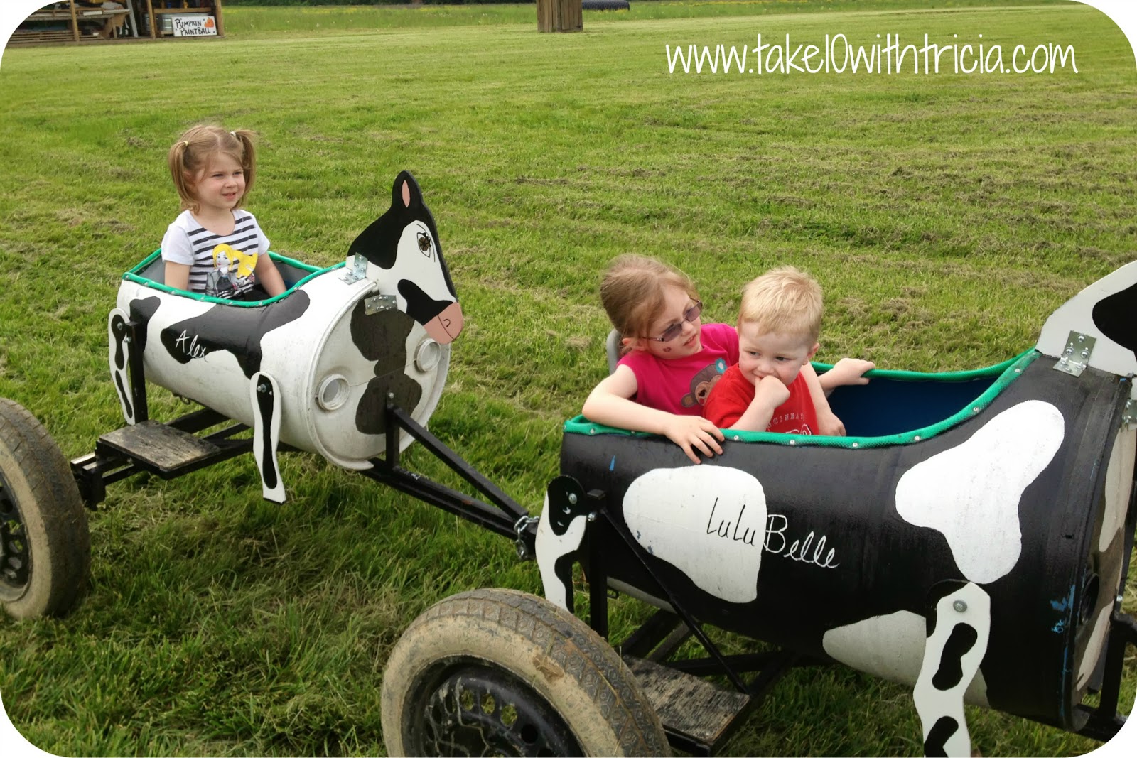 Why We Love Blooms and Berries Farm Market Take 10 With Tricia