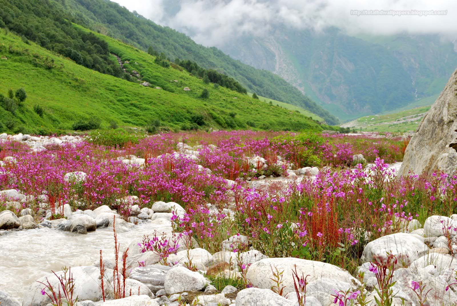 Beautiful Valley