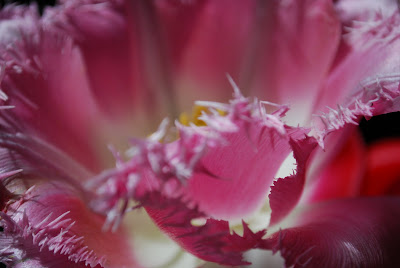 Make It&hellip; a Wonderful Life: May 2011