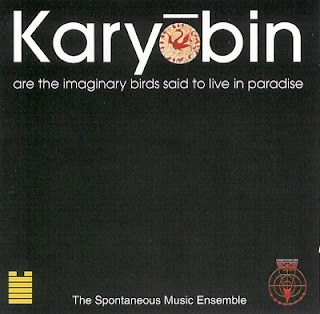 Spontaneous Music Ensemble, Karyobin