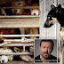 Ένα συγκλονιστικό βίντεο για το παράνομο εμπόριο κρέατος σκύλου! ''Δεν ήξερα''...