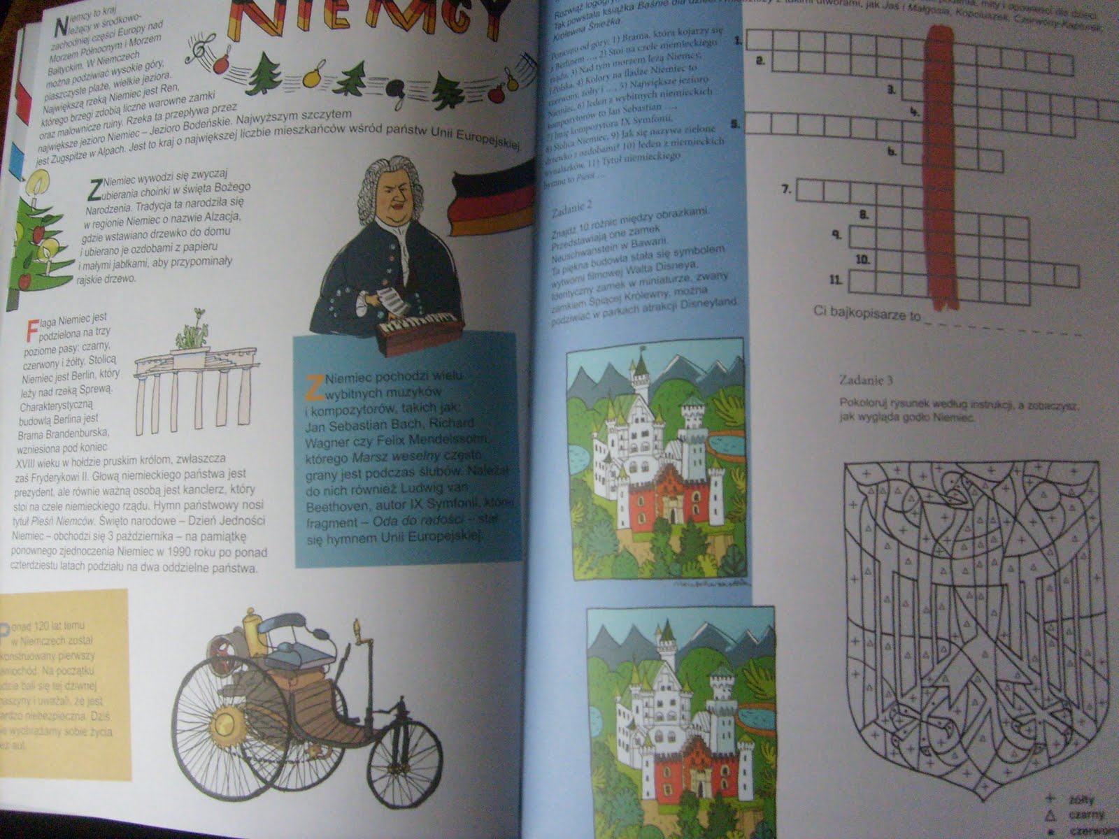 What Does A Vehicle Registration Look Like Texas