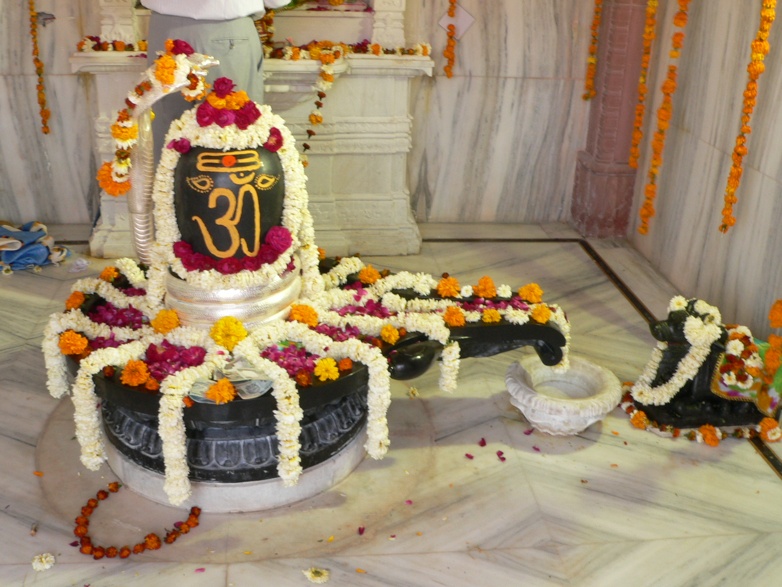 http://2.bp.blogspot.com/-l7KwVz0oXaM/URYORy4AwJI/AAAAAAAAKpM/PPp6f7_Y5wo/s1600/indian%20god%20Shiva%20HD%20Wallpapers.jpg