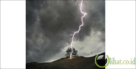 Petir Serang Pohon Petir Serang Pohon