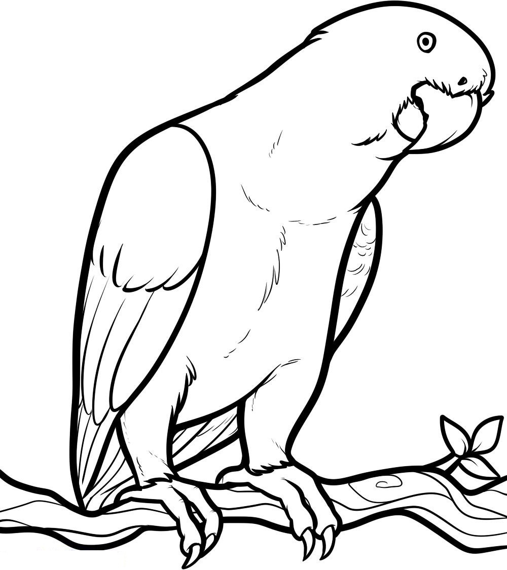 Coloring Picture Of Animals For Kids