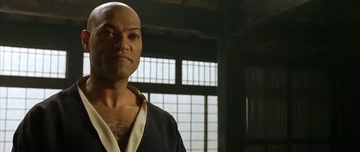 The Matrix all Parts in Hindi Dubbed Download, The Matrix