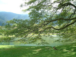 Taiping Lake Garden