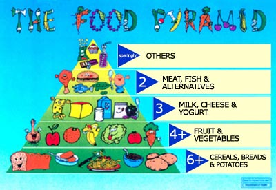 Healthy+food+pyramid+for+children