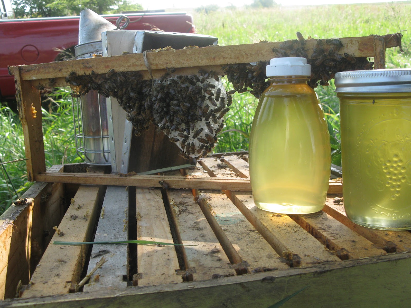 Fitzpatrick Farm How to get honey from a hive