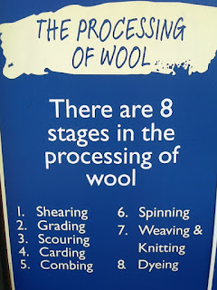 8 Stages in the processing of wool. 8 Stages in the processing of wool: Shearing, grading, scouring, carding, combing, spinning, weaving & knitting, and dyeing.