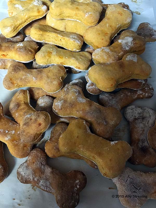 Baking Powder Alternative For Dogs at Justin Claxton blog