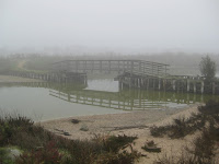 valli di comacchio