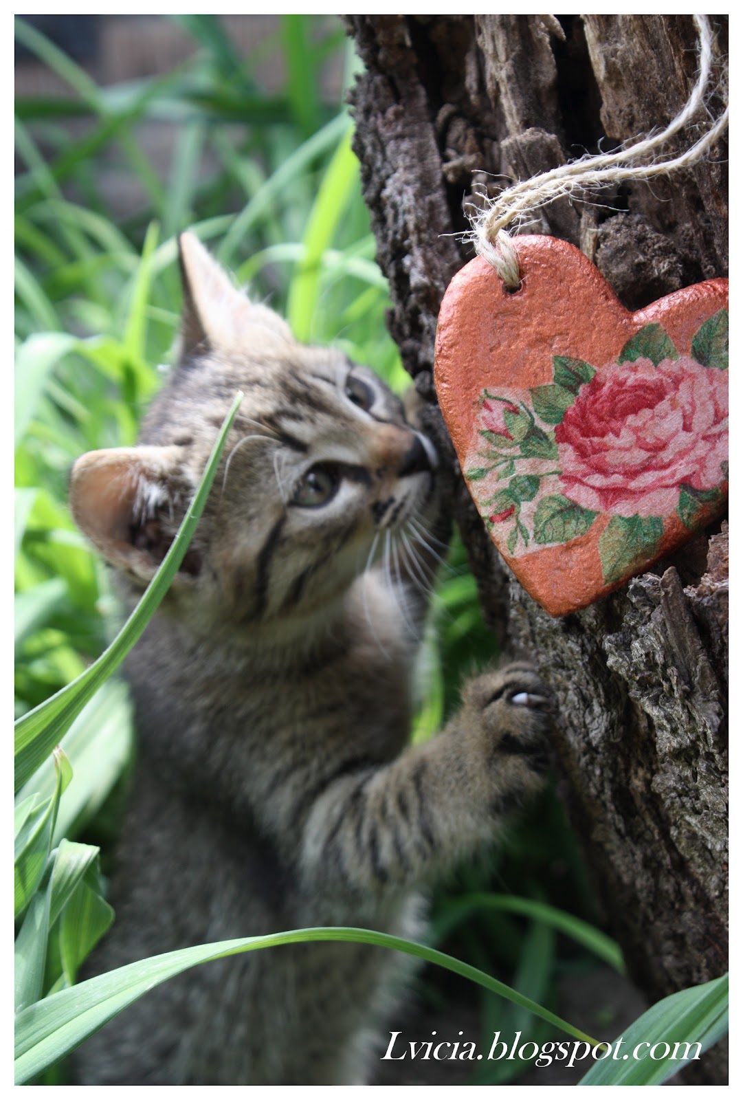 Радуга рукоделия. Кому нужны сердечки и про цветочки.