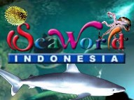 http://rekrutindo.blogspot.com/2012/05/seaworld-indonesia-careers-may-2012-for.html