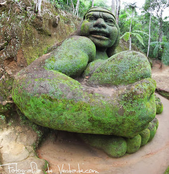 Jardim do Nêgo - Nova Friburgo