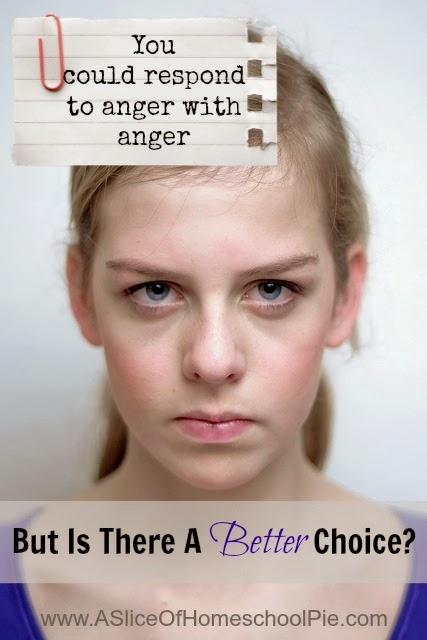 You could respond to anger with anger, but is there a better choice? #anger #prayer
