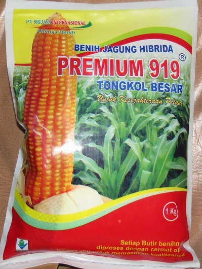 benih jagung hibrida