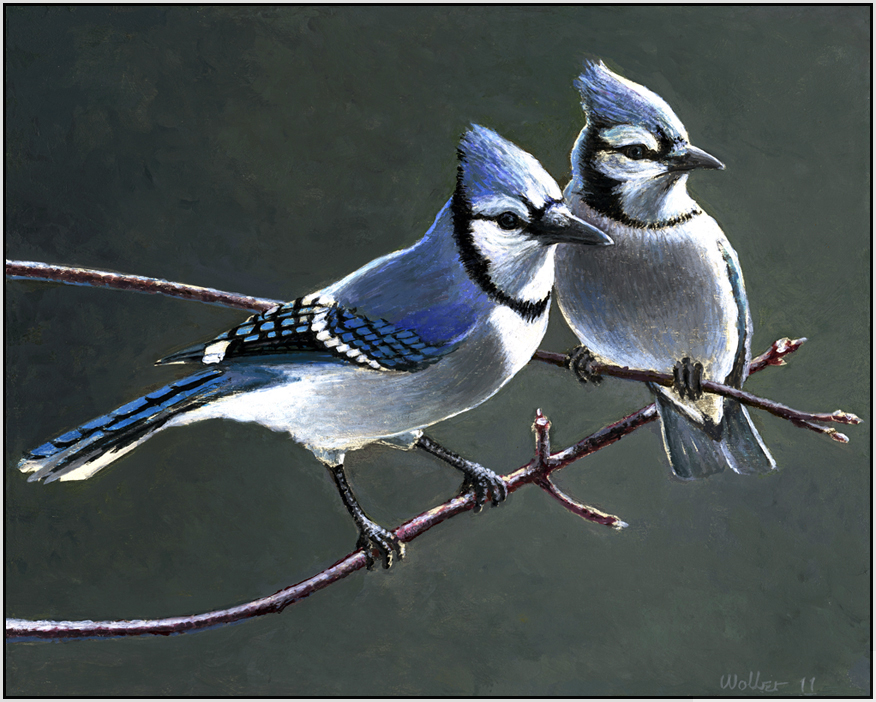 The Big Study Everyday Spirituality Cycles and Lines.