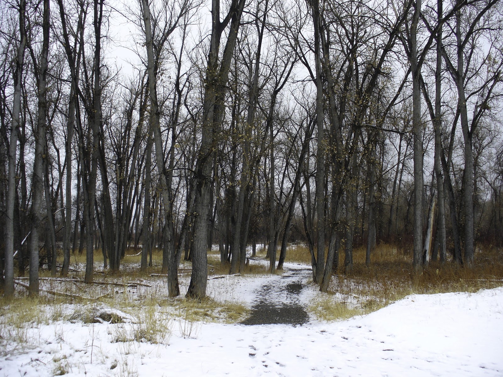 Blacktopia All New Crossing The T S Grown Folk Radio Tonight