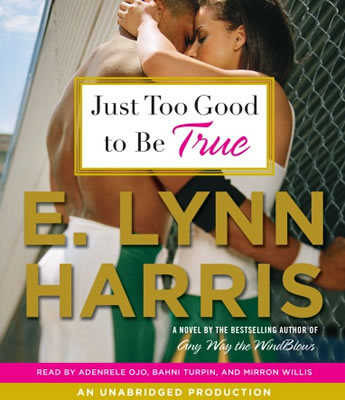 JUST TO GOOD TO BE TRUE just to good to be true: