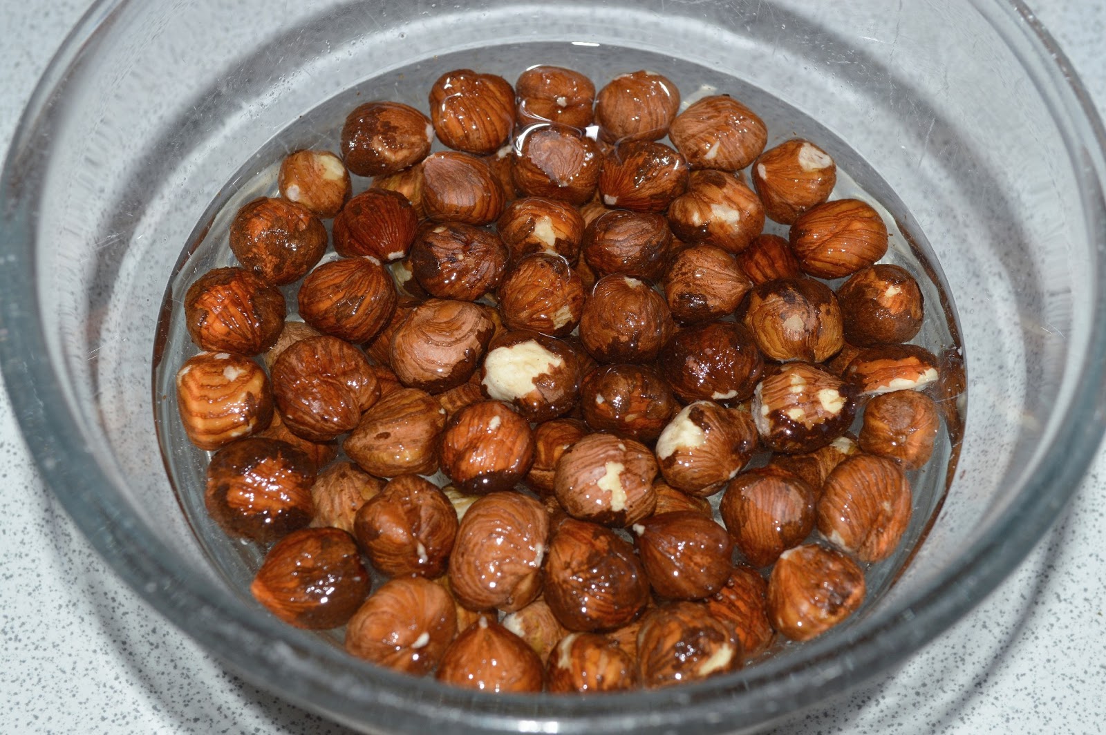 Chocolate Hazelnut Milk GF DF Gluten Free SCD and Veggie